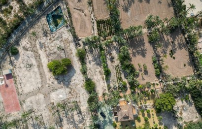 Resale - Casa de campo - Elche Pedanías - Alzabares