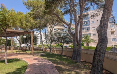 Resale - Apartment / flat - Elche - Playa arenales del sol