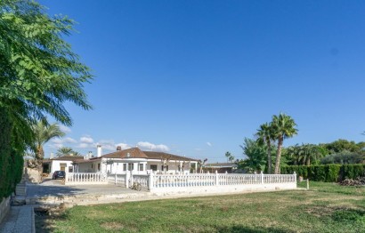 Resale - Villa - Crevillent - Comunidad valenciana
