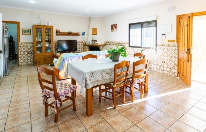 Resale - Villa - Crevillent - Comunidad valenciana