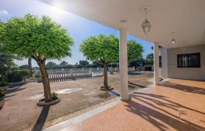 Resale - Villa - Crevillent - Comunidad valenciana