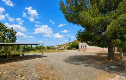 Revente - Ville - Novelda - HORNA ALTA
