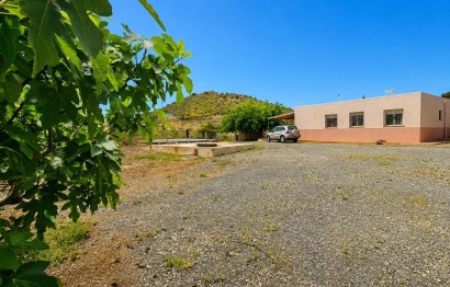 Revente - Ville - Novelda - HORNA ALTA