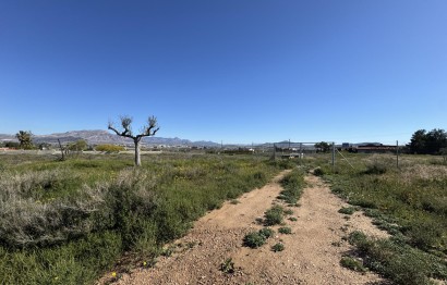 Resale - Plot / Land - Aspe - Huerta mayor