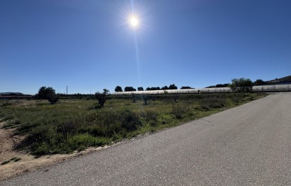 Resale - Plot / Land - Aspe - Huerta mayor