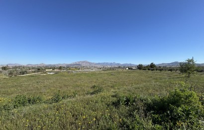 Resale - Plot / Land - Aspe - Huerta mayor