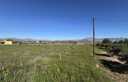 Resale - Plot / Land - Aspe - Huerta mayor