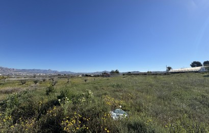 Resale - Plot / Land - Aspe - Huerta mayor