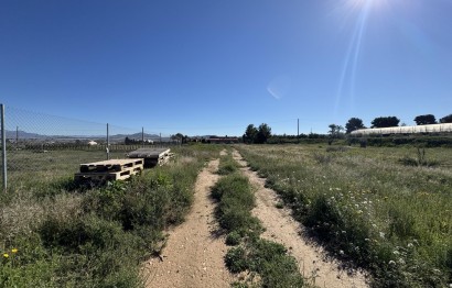 Resale - Plot / Land - Aspe - Huerta mayor
