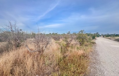 Revente - Parcelle / Terrain - Matola - Algoda-Matola-Llano de San José