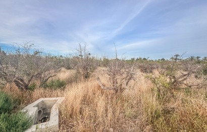 Revente - Parcelle / Terrain - Matola - Algoda-Matola-Llano de San José