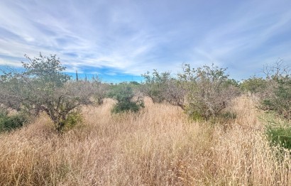 Revente - Parcelle / Terrain - Matola - Algoda-Matola-Llano de San José