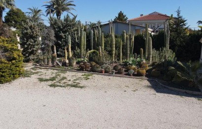 Resale - Villa - Matola - Algoda-Matola-Llano de San José