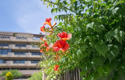 Reventa - Apartamento / piso - Arenales del Sol - Calle valladolid