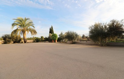 Revente - Ville - Elche Pedanías - Pussol