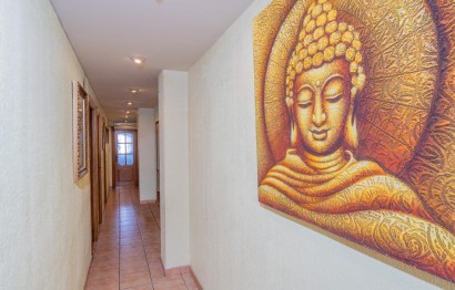 Reventa - Apartamento / piso - Elche - Plaza Barcelona